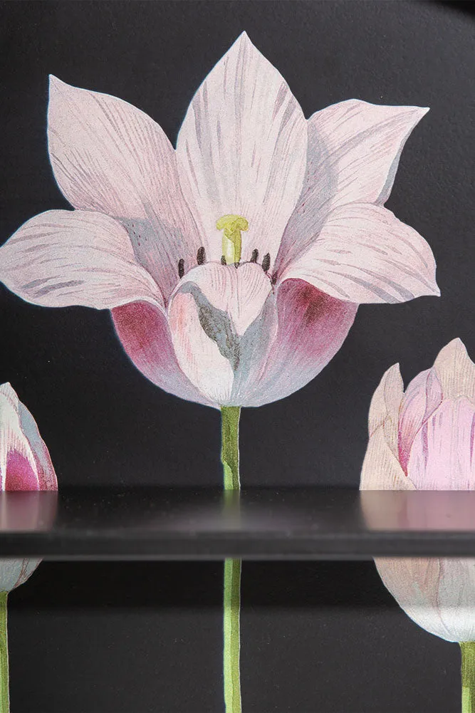 Floral & Black Metal Display Shelves